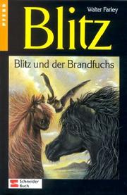 Black Stallion and Flame
