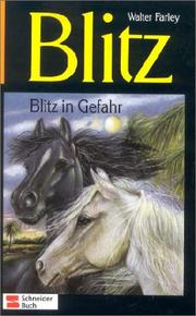 The black stallion's ghost
