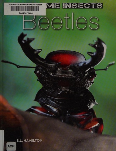 Beetles