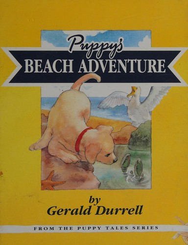 Puppy's beach adventure