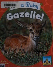It's a baby gazelle!