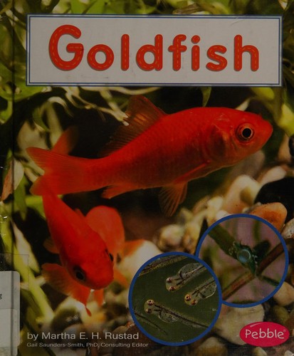 Goldfish