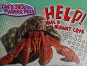 Help! I have a hermit crab