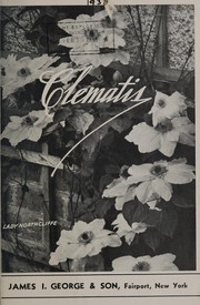 Clematis