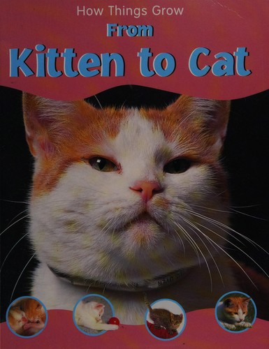 From kitten to cat