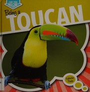 Being a toucan