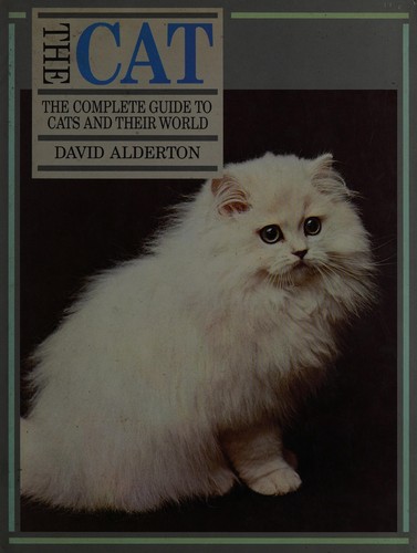 The cat