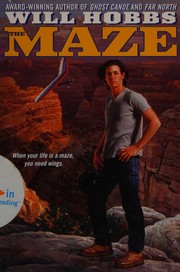 The maze