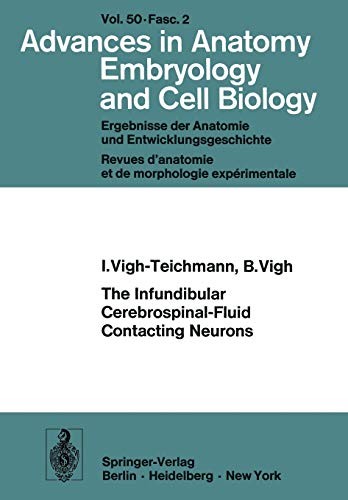 The infundibular cerebrospinal-fluid contacting neurons
