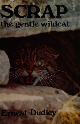 Scrap, the gentle wildcat
