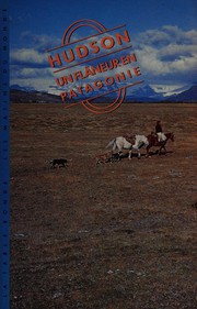 Un flâneur en Patagonie