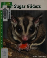Sugar gliders