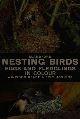 Nesting birds, eggs and fledglings
