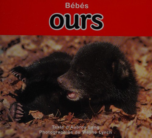 Bébés ours