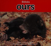 Bébés ours