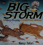 The big storm