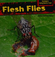 Flesh flies