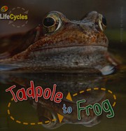 Tadpole to frog