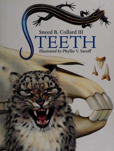 Teeth