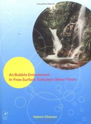 Air Bubble Entrainment in Free-Surface Turbulent Shear Flows