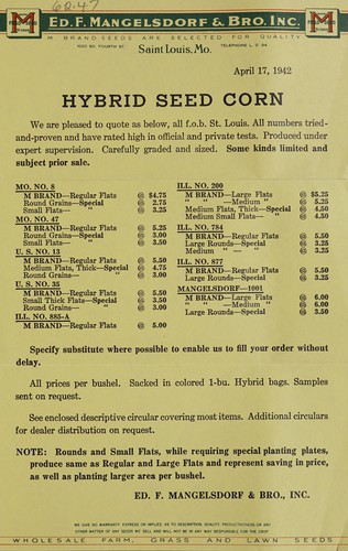 Hybrid seed corn