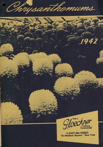 Chrysanthemums, 1942
