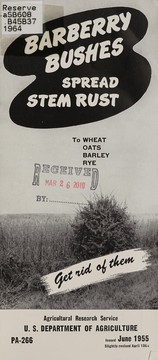 Barberry bushes spread stem rust to wheat, oats, barley,rye