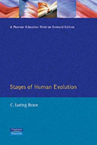 The stages of human evolution