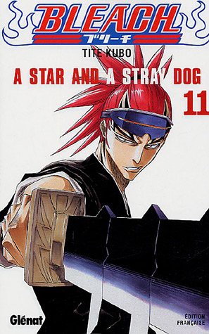 Bleach - Tome 11
