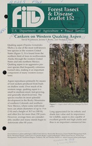 Cankers on western quaking aspen