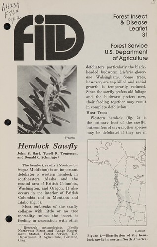Hemlock sawfly