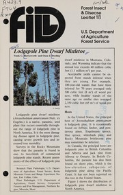 Lodgepole pine dwarf mistletoe