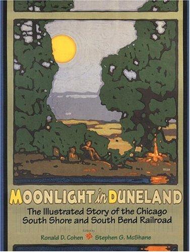 Moonlight in Duneland