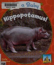 It's a baby hippopotamus!