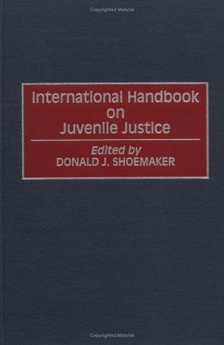 International handbook on juvenile justice