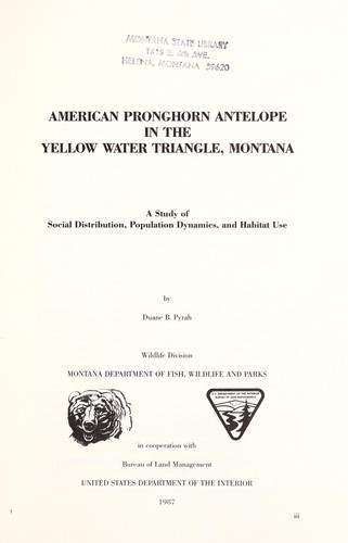 American pronghorn antelope in the Yellow Water Triangle, Montana