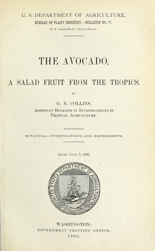 The avocado, a salad fruit from the tropics