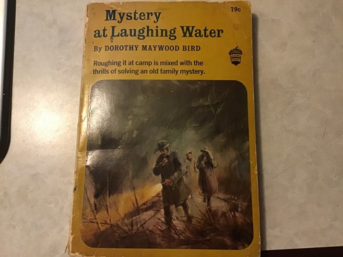 Mystery at Laughing Water