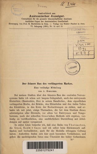 Der feinere Bau des verlängerten Markes