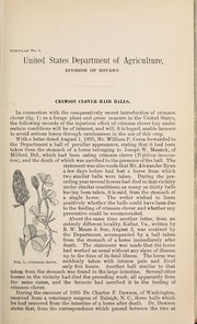 Crimson clover hair balls