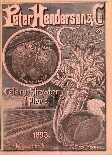 Catalogue of cauliflower, cabbage & celery & strawberry plants