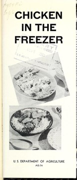 Chicken in the Freezer