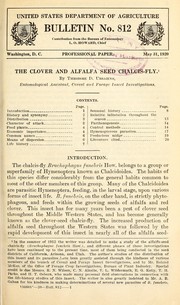 The clover and alfalfa seed chalcis-fly