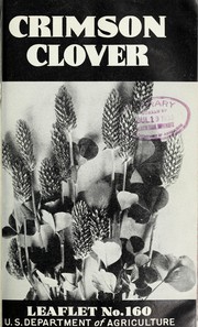 Crimson clover