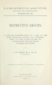 Destructive locusts