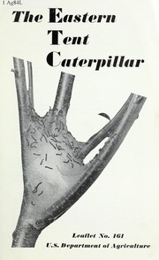 The eastern tent caterpillar