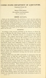 Grimm alfalfa