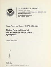 Marine flora and fauna of the Northeastern United States