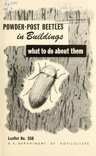 Powder-post beetles in buildings