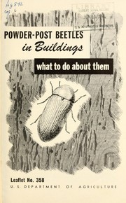 Powder-post beetles in buildings